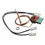 Thermostat de sécurité avec câble pour DTG S 200 - DE DIETRICH CHAPPEE : 840947