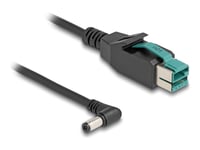 Delock - Strømforsynt Usb-Kabel - Usb Pluspower (12 V) (Hann) Til 5,5 X 2,1 Mm Dc-Jakk (Hann) Vinklet - 12 V - 3 M - Svart