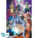 Poster Maxi Dragon Ball Super Univers 7