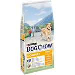 DOG CHOW Chien Complet Croquettes avec du Poulet pour Chien Adulte 14 kg