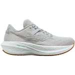 Chaussures Saucony  Triumph Rfg