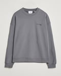 Axel Arigato Spade Sweatshirt Washed Steel