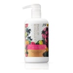 Elasticizer Booster Mango & Hibiscus Restoring Conditioner 500ml RRP £72