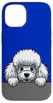 Coque pour iPhone 14 Caniche blanc mignon qui regarde un chiot amusant pour les amoureux des chiens