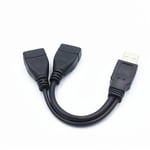 Ryra 1st USB 3.0 A 1 hane till 2 dubbla USB hon datahub strömadapter Y-splitter