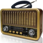 Poste Radio Portable,AM/SW/FM Petite Radio Vintage,Transistor Radio a Pile avec Fonction TWS/USB/TF Card/BT5.0,Radio Portable Rechargeable pour la Cuisine,Le Bureau,l'Extérieur (Or)(Q300)