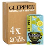 Clipper Organic Citrus, Nettle & Fennel Tea | 80 Cleanse with Benefits Infusion Teabags (4x Boxes of 20) | Bulk Buy, Home & Catering | Caffeine-Free Herbal Tea | Natural, Unbleached & Biodegradable