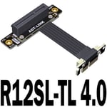 20CM R12SL-TL 4.0 PCIE câble d'extension de carte réseau 4.0x1 à X4 x 8, convertisseur PCIExpress, pour carte mère Nipseyteko