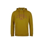 O'Neill Sweat-Shirt à Capuche State pour Homme, Homme, Sweat à Capuche, 1A1438, Harvest Doré, L