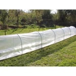 Serre tunnel, 0,8x3,75x0,8m, Transparent Dancover Serres