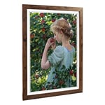 Big Box Art Framed Print of Charles C. Curran Scent of The Apple Design | Wall Art Picture | Home Decor for Kitchen, Living Room, Bedroom, Hallway, Walnut, A2 / 24.5x18 Inch / 62x45cm