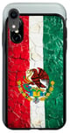 Coque pour iPhone XR Guanajuato Coque de téléphone drapeau mexicain - Racines mexicaines fières