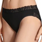 Calida Trosor Natural Comfort Lace Brief Svart bomull Medium Dam