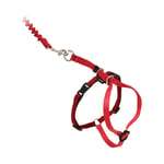 PetSafe Easy Walk Cat Harness Röd - M