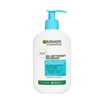 Garnier skinactive pure pa deep clns foam pb250ml