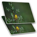 2 x Rectangle Stickers 7.5cm  - Little Yellow Bird Tree Rain Nature  #45583