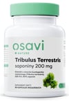 Osavi - Tribulus Terrestris, Saponins, 200 mg - 90 vcaps