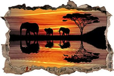 pixxp Rint 3D WD 5301 92 x 62 Afrique éléphant en Soleil percée 3D Sticker Mural Mural en Vinyle, Noir/Blanc, 92 x 62 x 0,02 cm