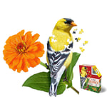 Madd Capp Puzzles - I AM Goldfinch - 300 Pieces - Animal Shaped Jigs (US IMPORT)