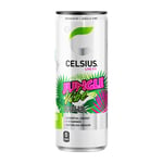 Celsius 24 x Flak 24-pack Jungle Vibe