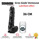 SEXTOY Gros Gode Dildo Ventouse 26CM Geant Réaliste Enorme XXL Fist Homme Femme