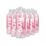 12 X Gaam Vitamindryck 500 Ml Mixflak