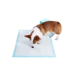 FEANDREA Puppy Training Pads, Puppy Toilet, 60 x 60 cm, 100 Pack PTD60B