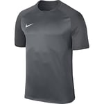 Nike Dry Team Trophy III Football T-Shirt Enfant Cool Grey/Dark Grey/Dark Grey/Blanc FR : L (Taille Fabricant : L)