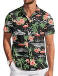 TARAINYA Funky Chemise Hawaienne Homme à Manches Courtes ete Aloha Palmier Flamingos Floral Feuille de Palmier