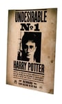 SD Toys indeseable 1 Poster de Harry Potter, Multicolore, 41 x 31 x 3 cm