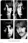 The Beatles  Plakat  White Album