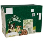 James Wellbeloved Adult Dog Food with Turkey in Gravy Pouch 12 x 90 g