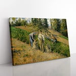 Big Box Art The Harvest by Camille Pissarro Canvas Wall Art Print Ready to Hang Picture, 76 x 50 cm (30 x 20 Inch), Cream, Green, Green