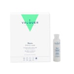 Valquer Profesional Après-Shampoing Professionnel Soie Naturelle Réparatrice/Nutritive, 12 x 15 ml