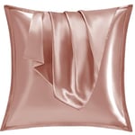 Vielit Taie Oreiller Satin 60x60 Lot de 2,pour Cheveux,Similaire Aux Taie d Oreiller en Soie,Housse de Coussin 60x60,Taies d'oreillers certifié Oeko-Tex Gold