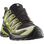 Salomon XA Pro 3D V9 GTX Men herrskor Black/Lime Cream/Dark Citron UK 10/EU 44 2/3 - Fri frakt