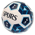 Tottenham Hotspur FC Hex Size 3 Football Fan Merchandise Xmas Birthday Gift