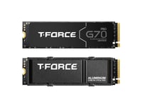 Team Group G70, 1 Tb, M.2