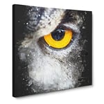 Eye of an Owl Paint Splash Modern Canvas Wall Art Print Ready to Hang, Framed Picture for Living Room Bedroom Home Office Décor, 14x14 Inch (35x35 cm)