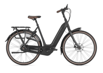 Gazelle Arroyo C8 HMB Elite 500Wh 53