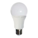 Ampoule E27 15W A65 équivalent 100W - Blanc Chaud 2700K