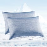 Avoalre 2Pack Cooling Pillowcases for Hair and Skin 50x75cm Double-Sided Cold Pillow Case Cover with Arc-Chill Cooling Fiber(Q-Max＞0.4) Hidden Zipper Helps Sleep Hypoallergenic Bleu