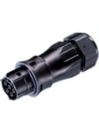 Wieland Rst20i5 plug female 5-pol 250/400v/20a 0.75-4mm2 ø=13-18mm black