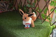 peluche neuve pokemon eveli 25  je peux grouper COLISSIMO