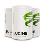 3 x L-leusiini - 500 g - Body Science Leucine - Aminohapot