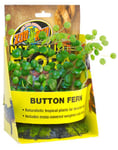 Zoo Med Button Fern Plante en Plastique pour Terrarium