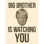 Wee Blue Coo Donald Trump Big Brother Is Watching You George Orwell Art Print Poster Wall Decor 12X16 Inch