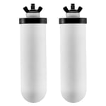 VEVOR Filtres à Eau de Rechange Lot de 2, Purificateur d’Eau Compatible avec la Plupart des Marques, Filtre à Charbon Actif et Céramique pour Système de Filtration d'Eau par Gravité, Blanc, Domicile