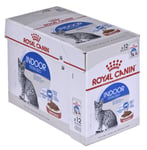 Royal Canin Indoor säilyke kissoille, 12 x 85 g