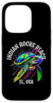 iPhone 14 Pro Indian Rocks Beach Florida USA Abstract Turtle Design Case